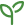 seedling seedling